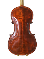 Violina 4 Pozadina Trbuha
